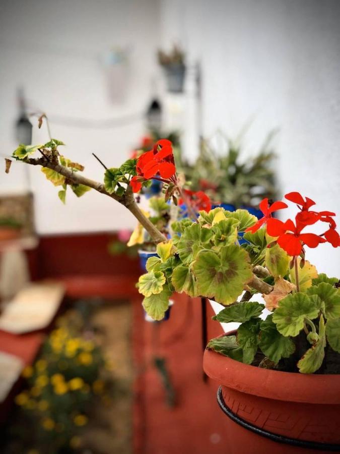La Jara Casa Rural Guest House Hinojosa del Duque Bagian luar foto